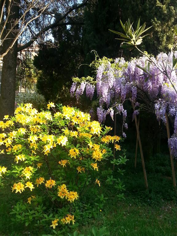 B&B Gloria Gallarate Exterior photo
