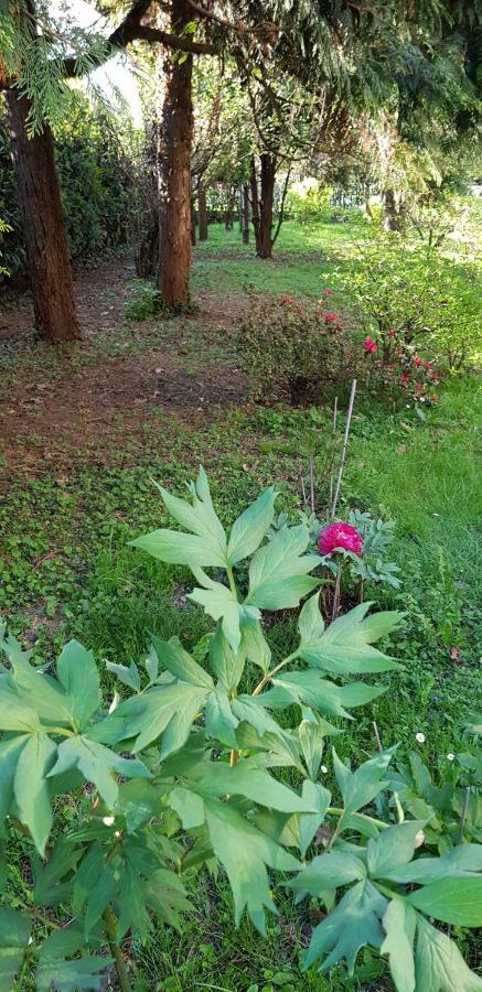 B&B Gloria Gallarate Exterior photo