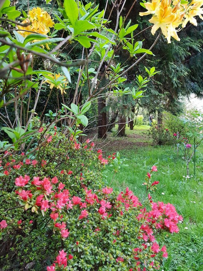 B&B Gloria Gallarate Exterior photo